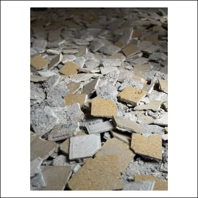 Macroscopio cantiere 4